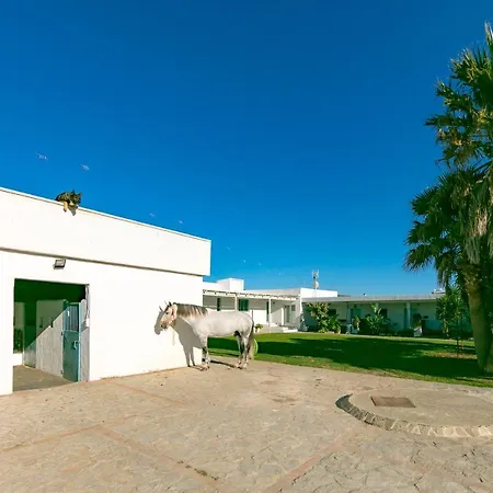 Rurales La Vega Apartment *