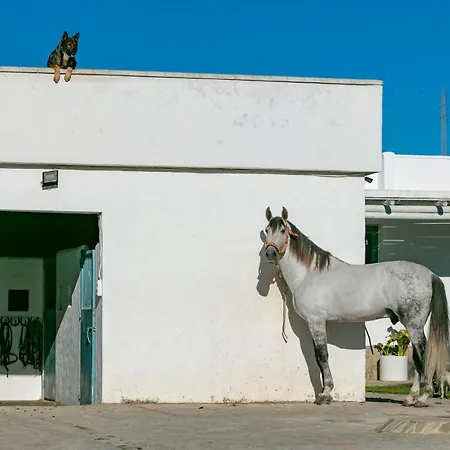 Apartment Rurales La Vega