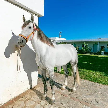Apartamento Rurales La Vega *